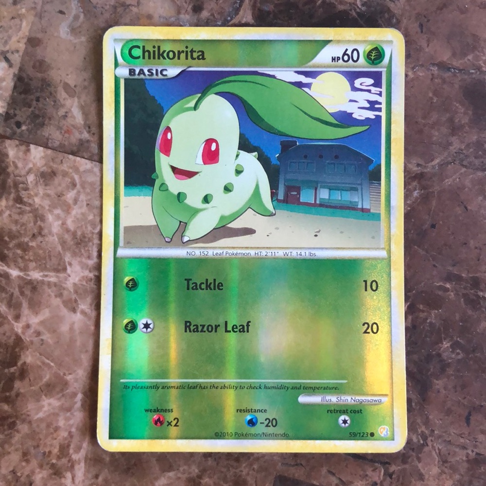 Pokémon Chikorita 2010